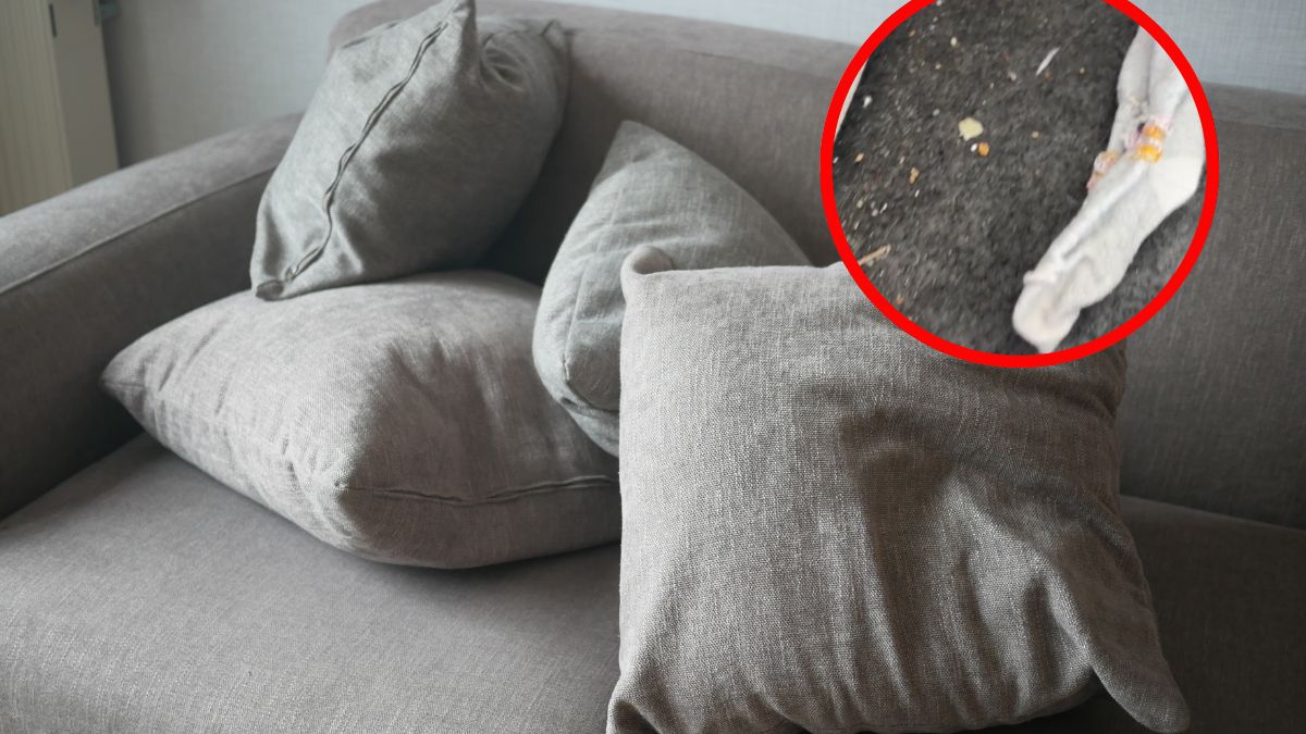 Widok pod poduszkami ją zaskoczył
