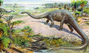 Odkryto nowego gigantycznego dinozaura. Osiągał 20 metrów długości