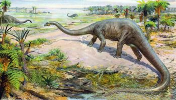 Odkryto nowego gigantycznego dinozaura. Osiągał 20 metrów długości