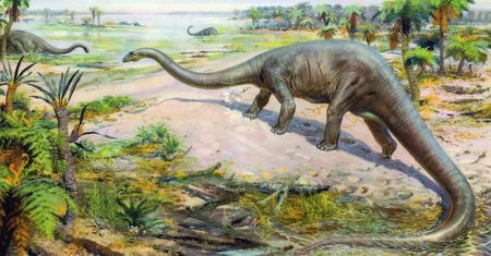 Odkryto nowego gigantycznego dinozaura. Osiągał 20 metrów długości