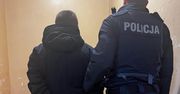 29-latek skatował szczeniaka. Usłyszał wyrok