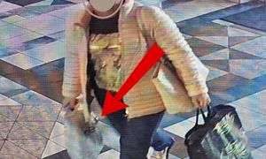 Ukradła deskę klozetową z domu kultury. Dali sprawczyni czas na zwrot