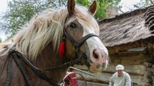 Pokaz Orki Konnej i Wiosennych Prac Polowych w Muzeum Wsi Lubelskiej