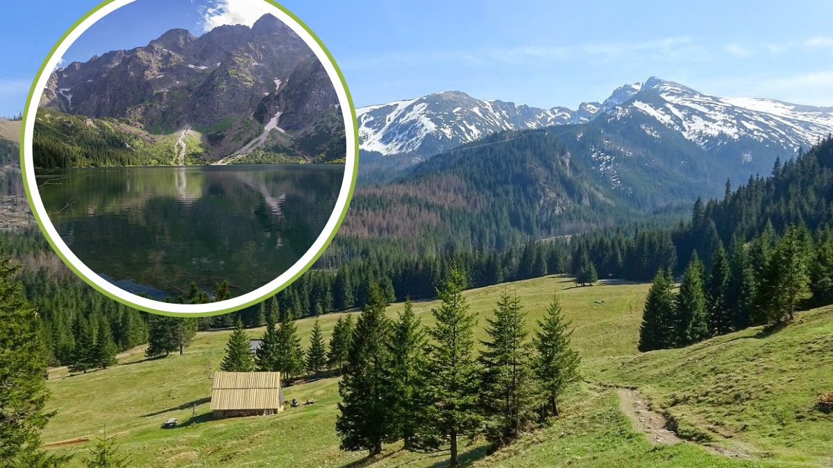 Z roku na rok liczba turystów w Tatrach rośnie