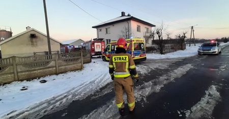 7-letni Filip zagryziony przez psa. Szokujące ustalenia