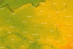 Pogoda długoterminowa. Jakie będzie lato? IMGW ma świetne wieści dla urlopowiczów