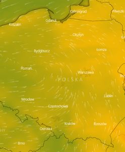 Pogoda długoterminowa. Jakie będzie lato? IMGW ma świetne wieści dla urlopowiczów