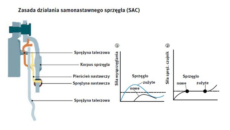 Zdjęcie ilustracyjne do artykułu