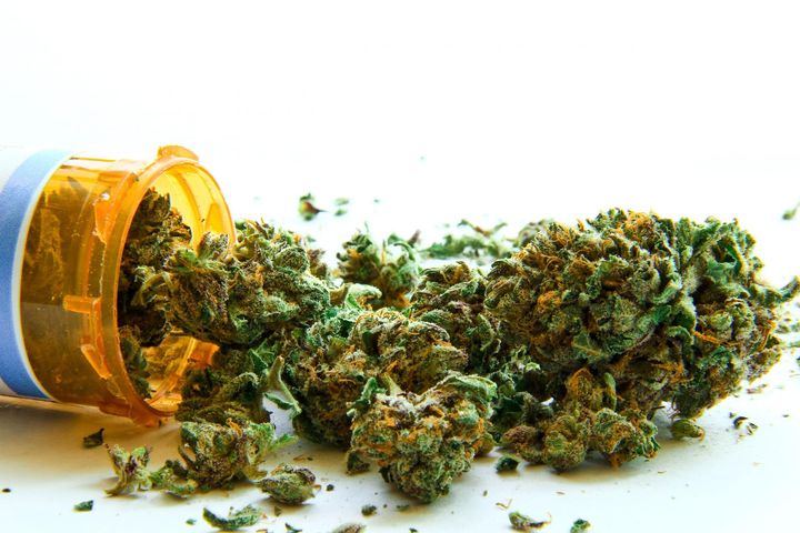 W Polsce będzie dostępna medyczna marihuana