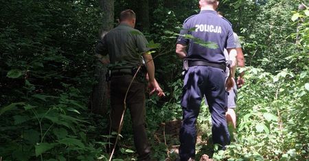 Kradli drewno z lasu. Leśnicy już wiedzą, kim byli sprawcy
