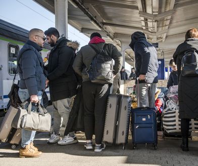 Українці - тягар для Польщі, чи платники податків, які успішно підтримують економіку країни?