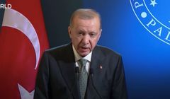 Szwedzki dziennikarz usłyszał wyrok za obrazę prezydenta Turcji