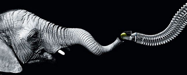 Ramię robota inspirowane trąbą słonia