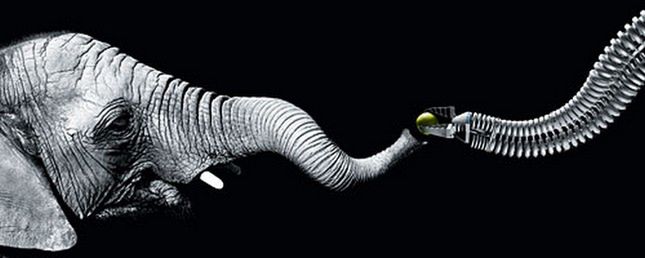 Bioniczny robot Festo uczy się jak człowiek. Co potrafi? 2
