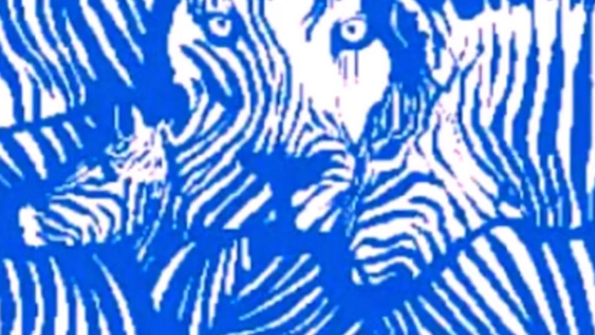 Iluzja optyczna - co widzisz na obrazku?