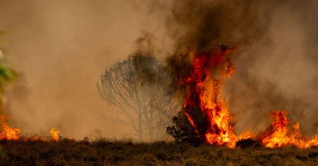 Coraz trudniejsza sytuacja w Hiszpanii. Podano liczby