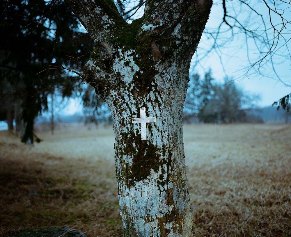 Oto zwycięzcy Magnum Photography Awards 2016 36