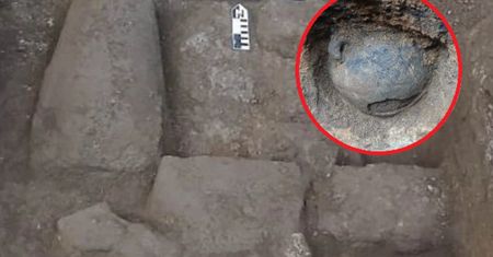 Tajemnicze ruiny sprzed wieków. Odkrycie archeologów w Meksyku