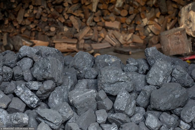 Dopłaty do ogrzewania nie tylko na węgiel? Decyzja może zapaść już we wtorek