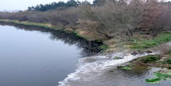 Zanieczyszczenia w Narwi. Sprawę bada WIOŚ