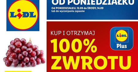 Lidl najnowsza gazetka od poniedziałku 12 września. Promocje w Lidlu 12.09-14.09