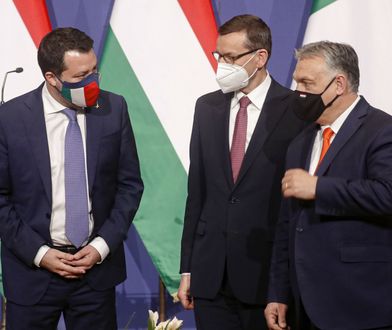 Koziński: Co łączy PiS, Fidesz i Ligę? Wspólny cel - rozbicie głównego nurtu w UE (Opinia)