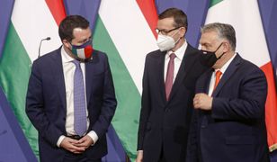 Koziński: Co łączy PiS, Fidesz i Ligę? Wspólny cel - rozbicie głównego nurtu w UE (Opinia)