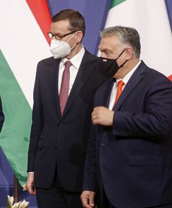 Koziński: Co łączy PiS, Fidesz i Ligę? Wspólny cel - rozbicie głównego nurtu w UE (Opinia)