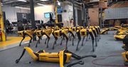 Robot-pies od Boston Dynamics nareszcie do kupienia, ale nadal nie dla każdego