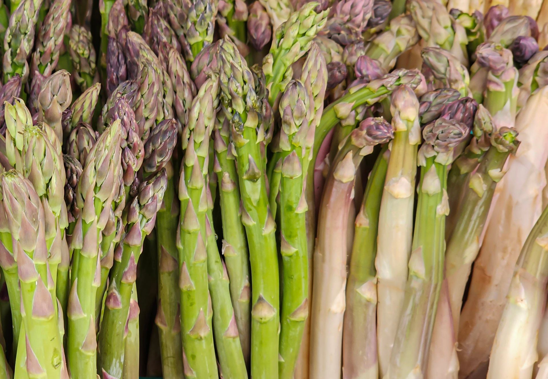 Kupujesz szparagi bez zastanowienia? Sprawdź, co faktycznie podpowiadają ich kolory