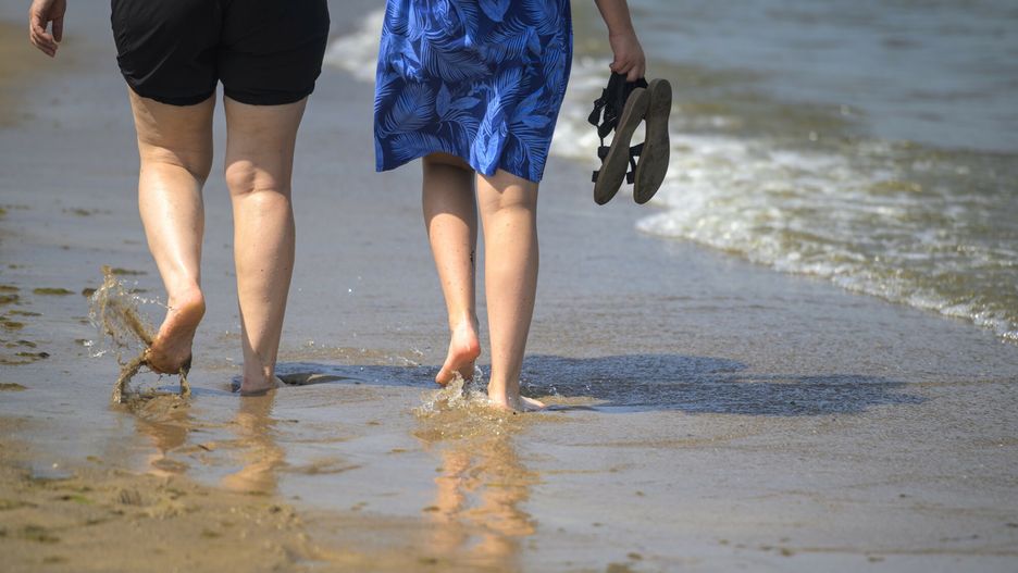 Sinice na pla?y w Gda?sku
Fot. Piotr Hukalo/East News, 27.06.2024. Gdansk. Plaza w Brzeznie. Po raz pierwszy w tym roku zakwitly sinice.
Piotr Hukalo