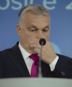 Rekordowa inflacja na Węgrzech. "Zakupy są bolesne"