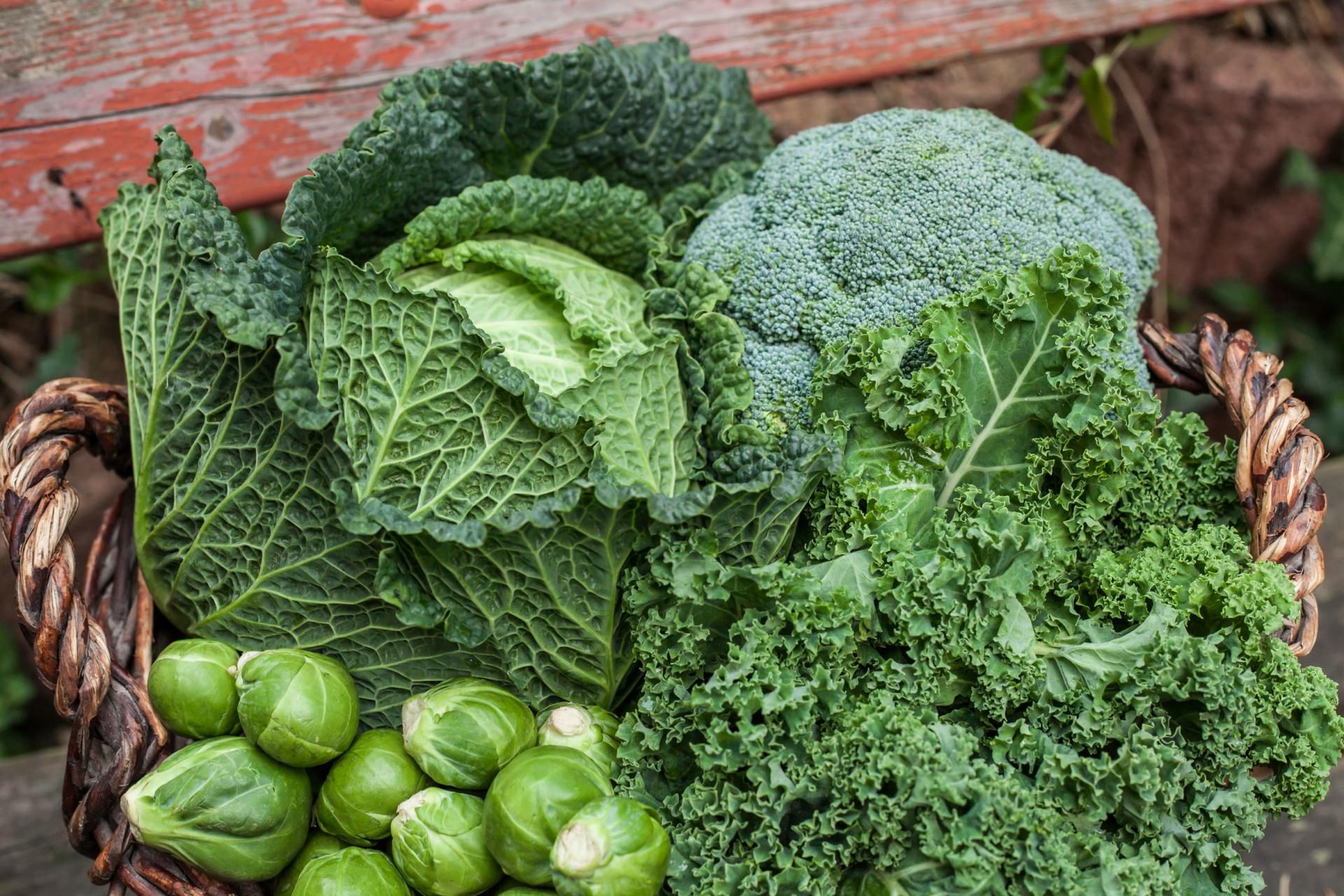 Kwas foliowy to substancja, która w największych dawkach występuje w zielonych warzywach liściastych