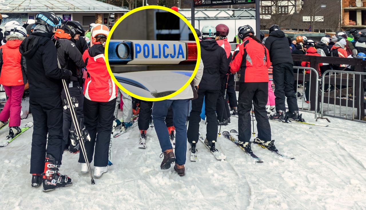 Pies na trasie. Doszło do dramatu. Lądował śmigłowiec LPR