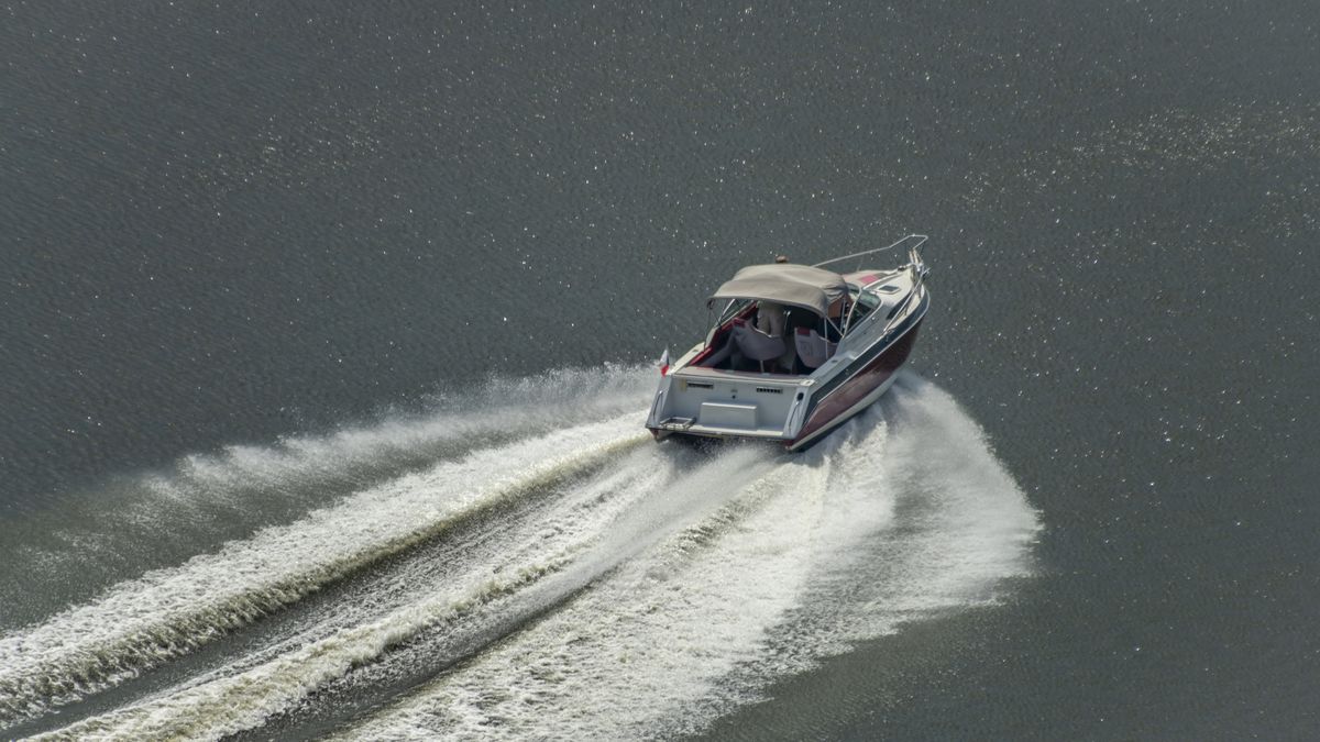 Radni jednogłośnie wprowadzili całoroczny zakaz 