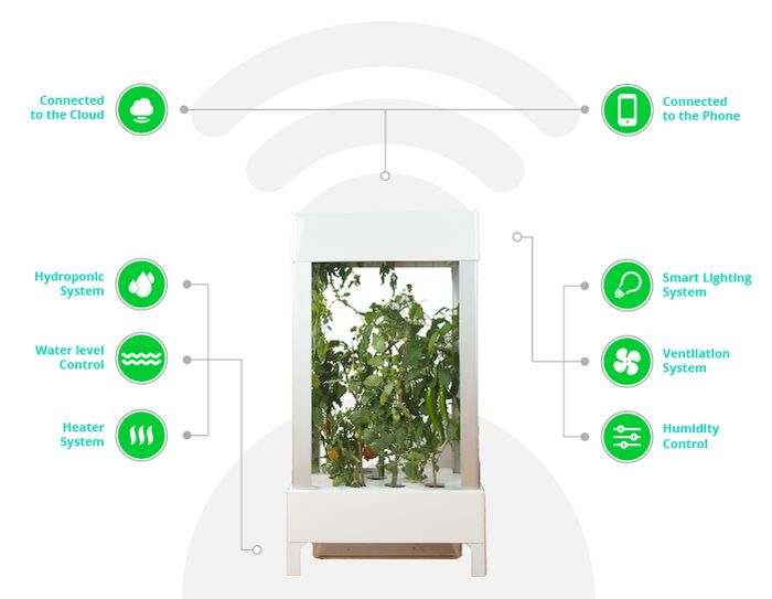 Niwa. Inteligentny ogród kontrolowany za pomocą smartfona 3