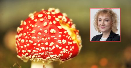 To trucizna. Ludzie je sprzedają. "Ruszyła procedura"
