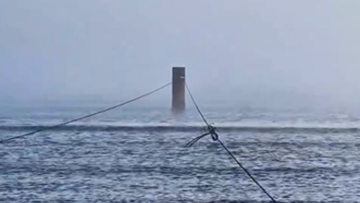 Na nagraniu widać, co zadziało się na nad morzem 