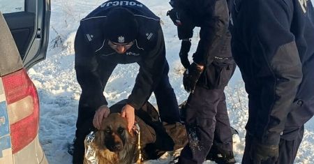 "Przymarzł do pobocza i czekał na śmierć" – policjanci uratowali psa w ostatniej chwili