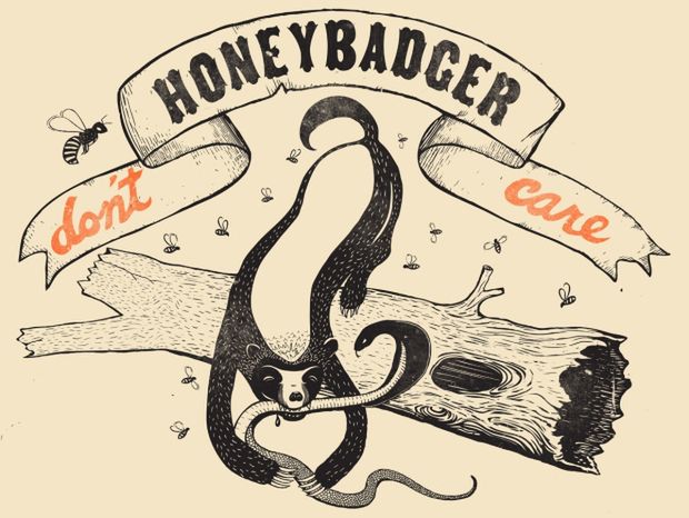 Honey Badger, czyli ćwiczenia z prawa autorskiego w internecie [BLOGI]