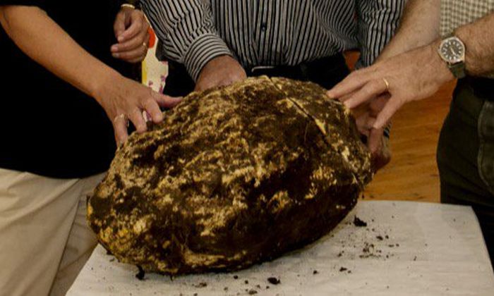 Znalazł bryłę masła sprzed 2 tys. lat