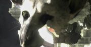Wciąż trzymacie kciuki za The Last Guardian? Chyba możecie przestać [Aktualizacja: Nie przestawajcie]