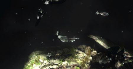 Nowa galeria z The Last Guardian