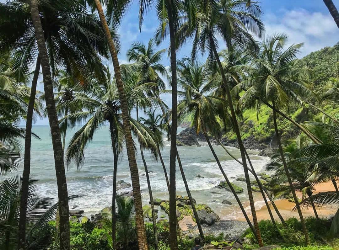 Wśród plaży w Goa w Indiach znajdziemy prawdziwe perełki 
