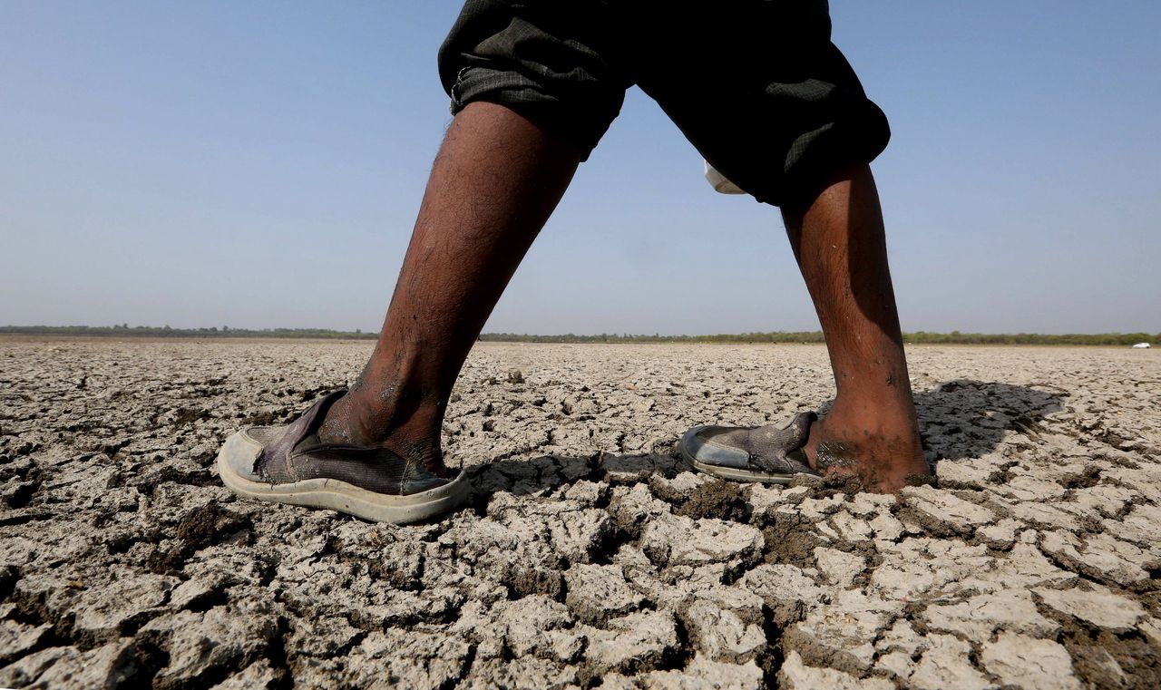 Rekordowe upały w Indiach. Temperatura przekroczyła już 50 stopni Celsjusza