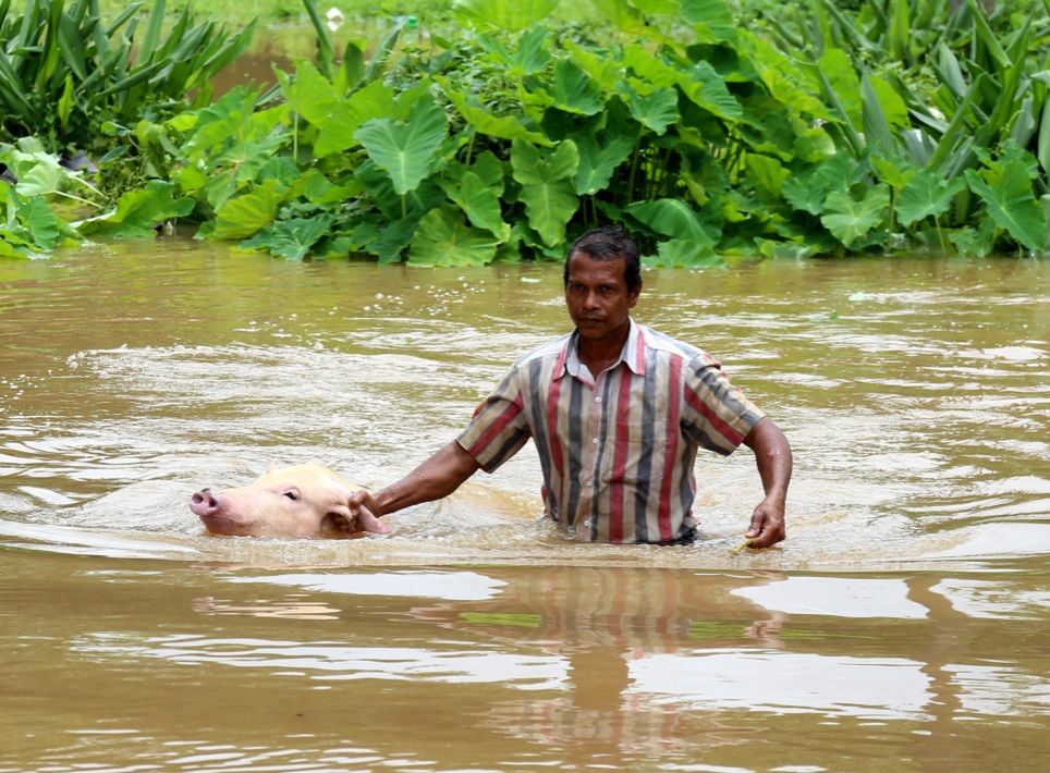 Tragiczna powódź w południowych Indiach. Nie żyją setki ludzi, a setki tysięcy potrzebuje pomocy