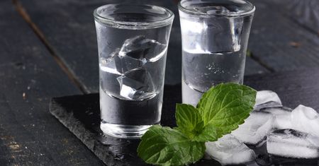 Wódka najlepiej opracowanym hasłem w polskiej Wikipedii
