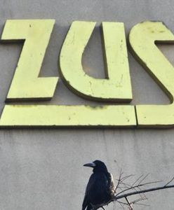 ZUS – kiedy poznamy wysokość składki zdrowotnej na 2019? GUS zabrał głos w sprawie, a przedsiębiorcy się niecierpliwią