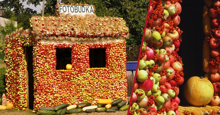Fotobudka z… jabłek