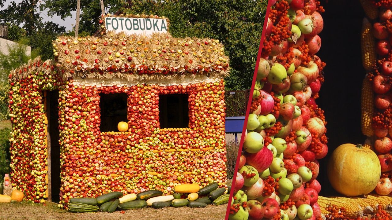 Fotobudka z… jabłek